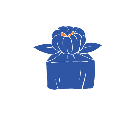 手順5のイラスト