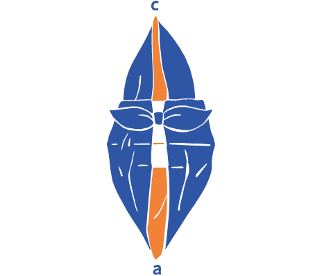 手順2のイラスト