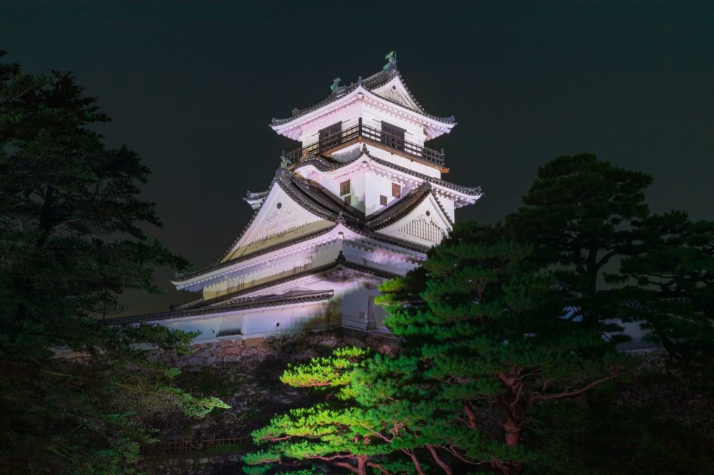 ライトアップされた夜の高知城